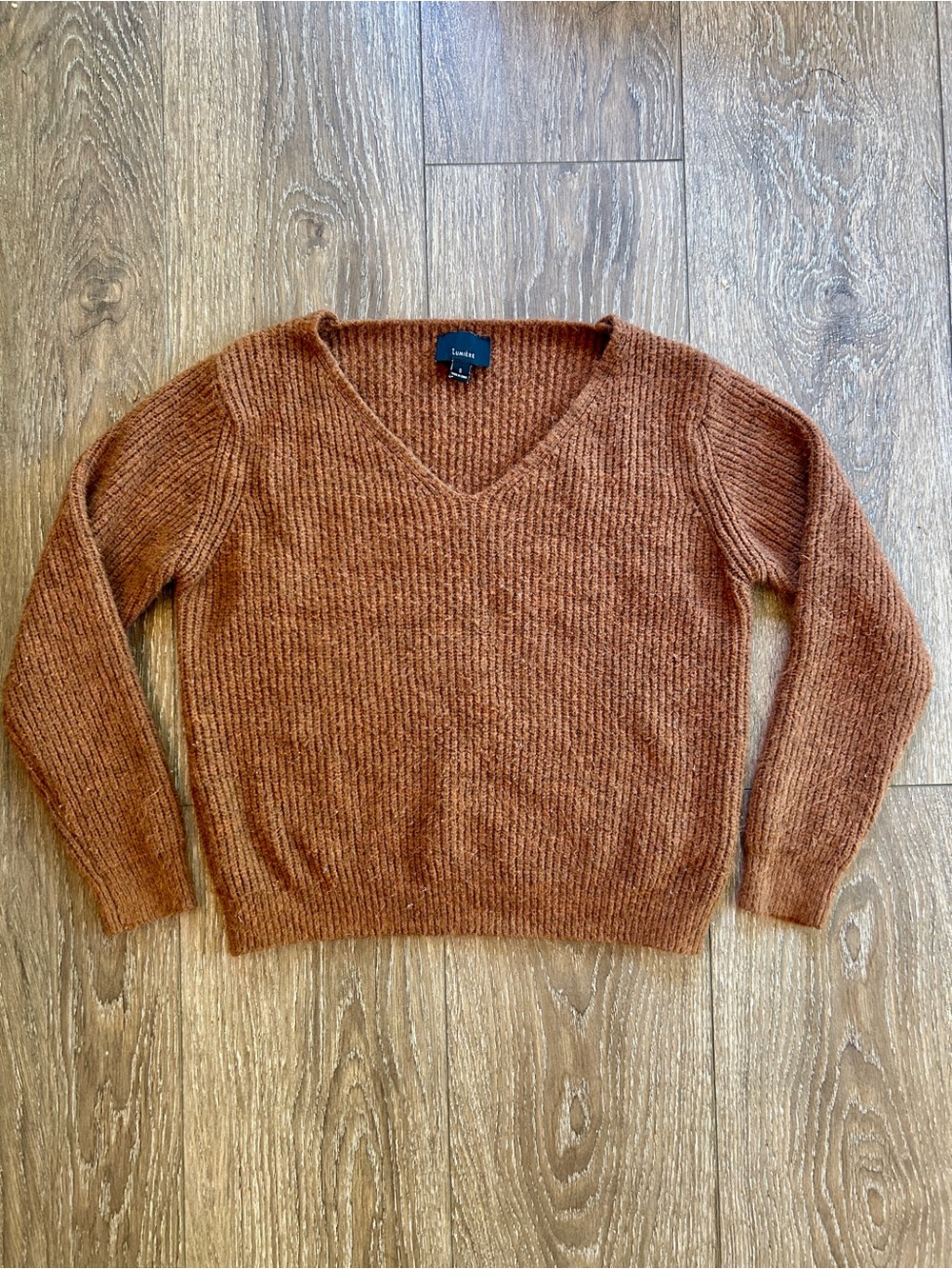 Everlane V-Neck Sweater in Rust